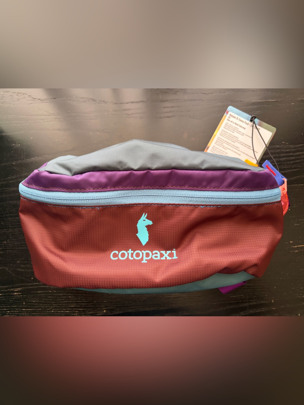 Cotopaxi Bataan Del Dia Waist or Crossbody Pack NWT